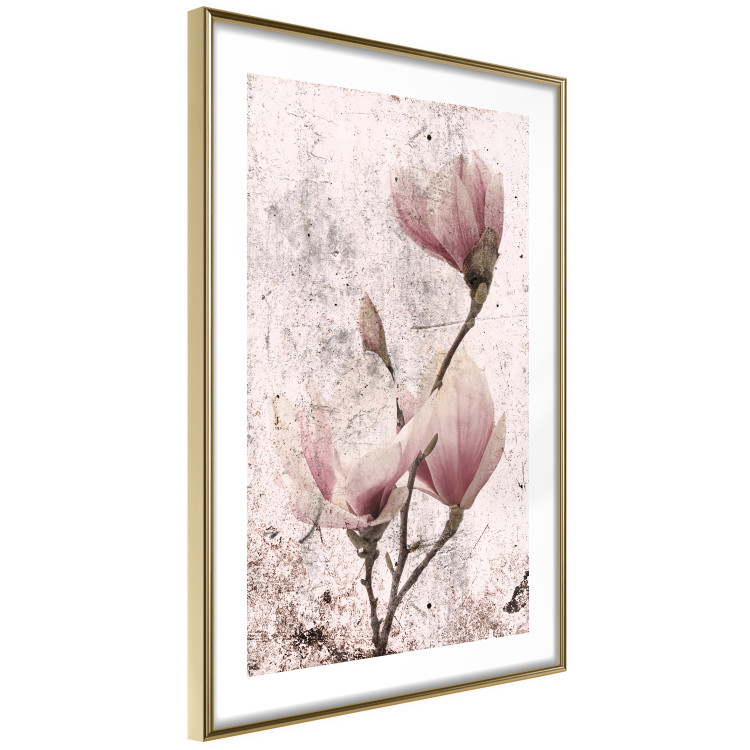 Poster Mature Magnolia - vintage composition with flowers on a pastel background 118611 additionalImage 6