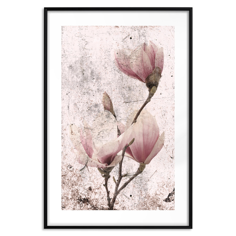 Poster Mature Magnolia - vintage composition with flowers on a pastel background 118611 additionalImage 15