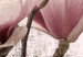 Poster Mature Magnolia - vintage composition with flowers on a pastel background 118611 additionalThumb 10