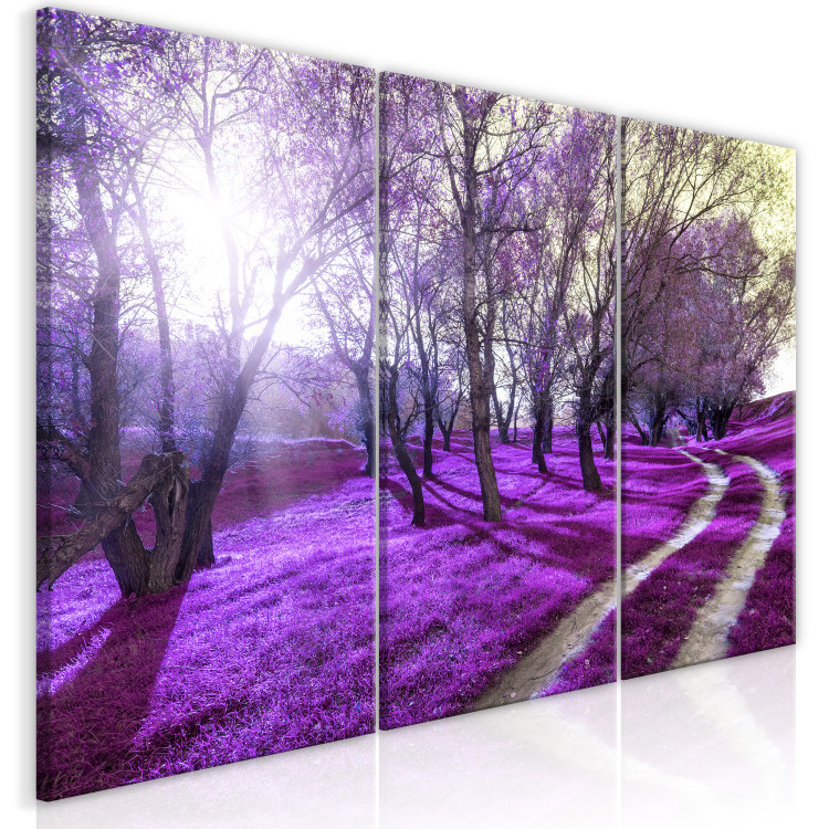 Canvas Print Purple alley - forest landscape with lavender plain and sunlight 122211 additionalImage 2