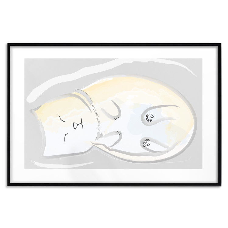 Poster Sleeping Kitty - abstract white upside-down lying animal 122911 additionalImage 15