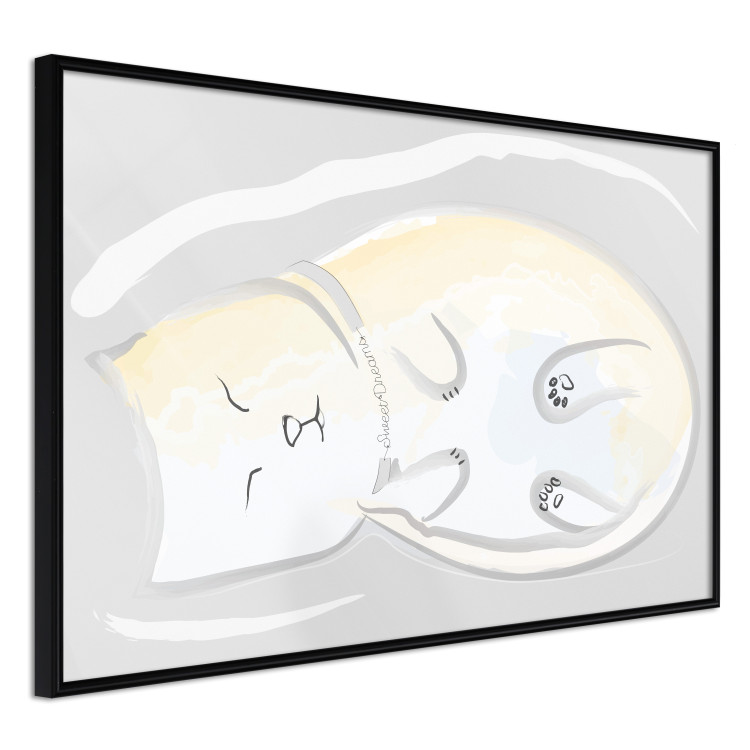 Poster Sleeping Kitty - abstract white upside-down lying animal 122911 additionalImage 10