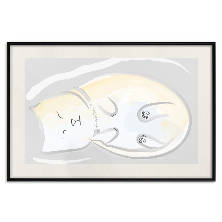Poster Sleeping Kitty - abstract white upside-down lying animal 122911 additionalImage 18