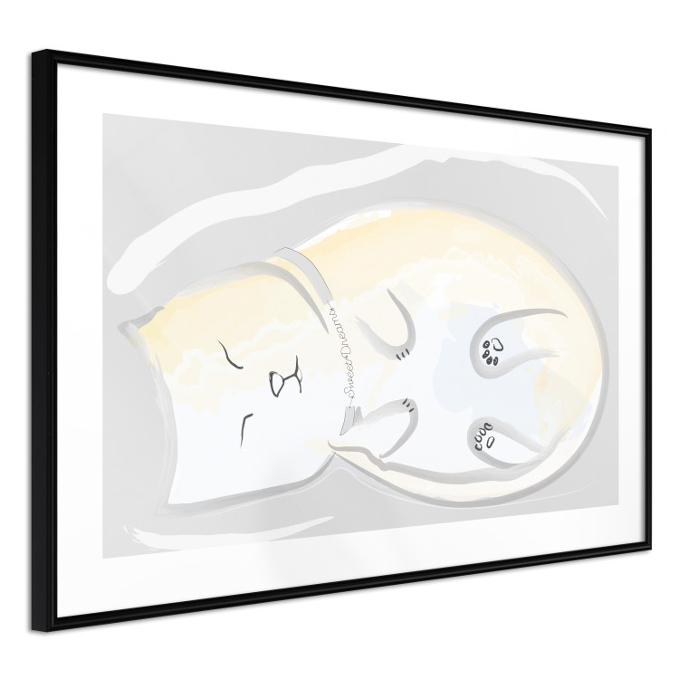 Poster Sleeping Kitty - abstract white upside-down lying animal 122911 additionalImage 13