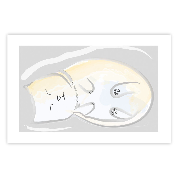 Poster Sleeping Kitty - abstract white upside-down lying animal 122911 additionalImage 19