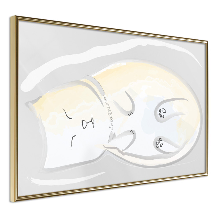 Poster Sleeping Kitty - abstract white upside-down lying animal 122911 additionalImage 12