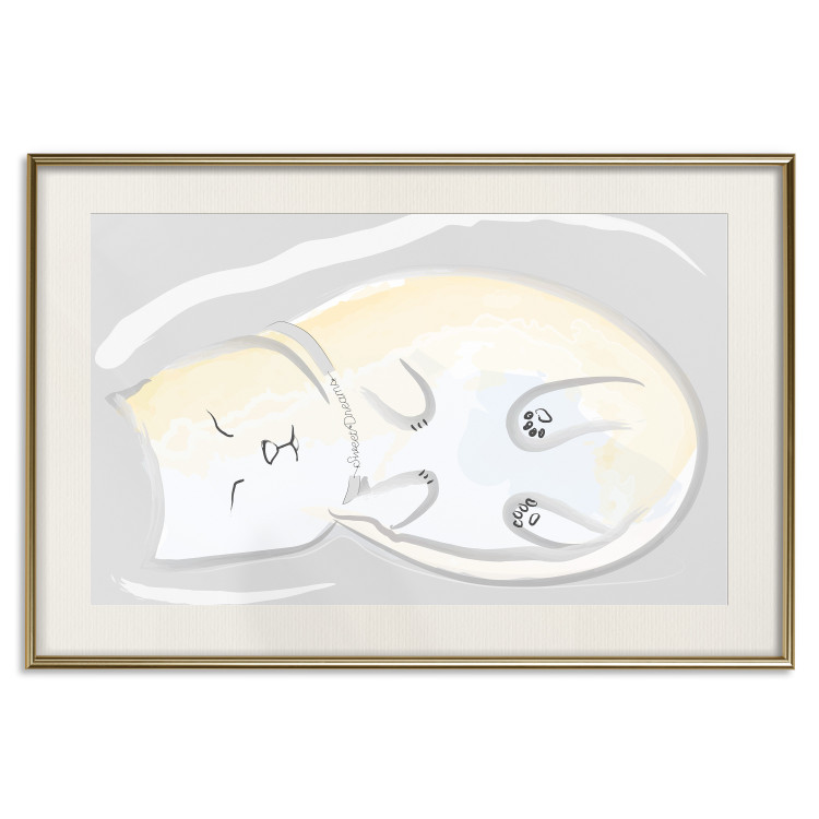 Poster Sleeping Kitty - abstract white upside-down lying animal 122911 additionalImage 19
