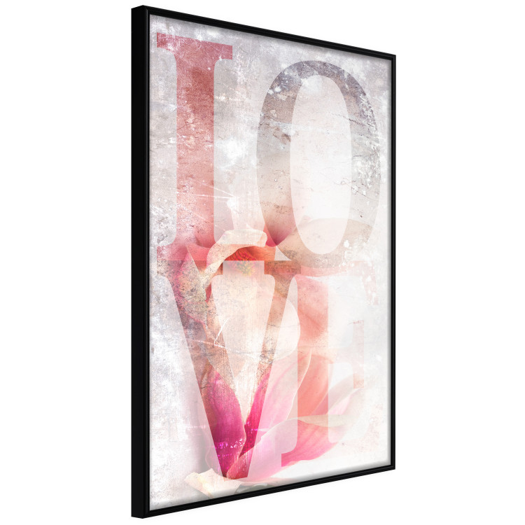 Poster Magnolia Love - colorful English text on a concrete texture background 123411 additionalImage 12