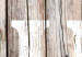 Poster Retro: Home - white English text on a background of wooden planks 125711 additionalThumb 8