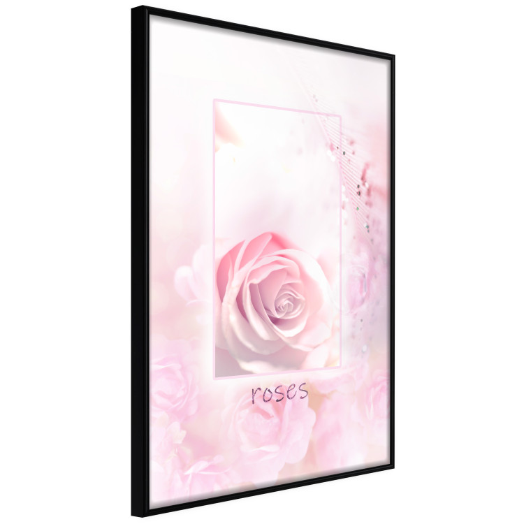 Wall Poster World of Roses - natural pink flower with English text 126211 additionalImage 8