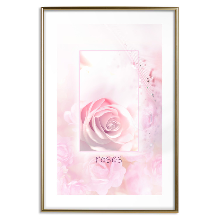 Wall Poster World of Roses - natural pink flower with English text 126211 additionalImage 14
