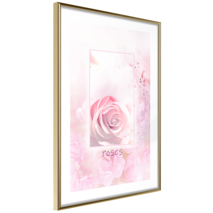 Wall Poster World of Roses - natural pink flower with English text 126211 additionalImage 4