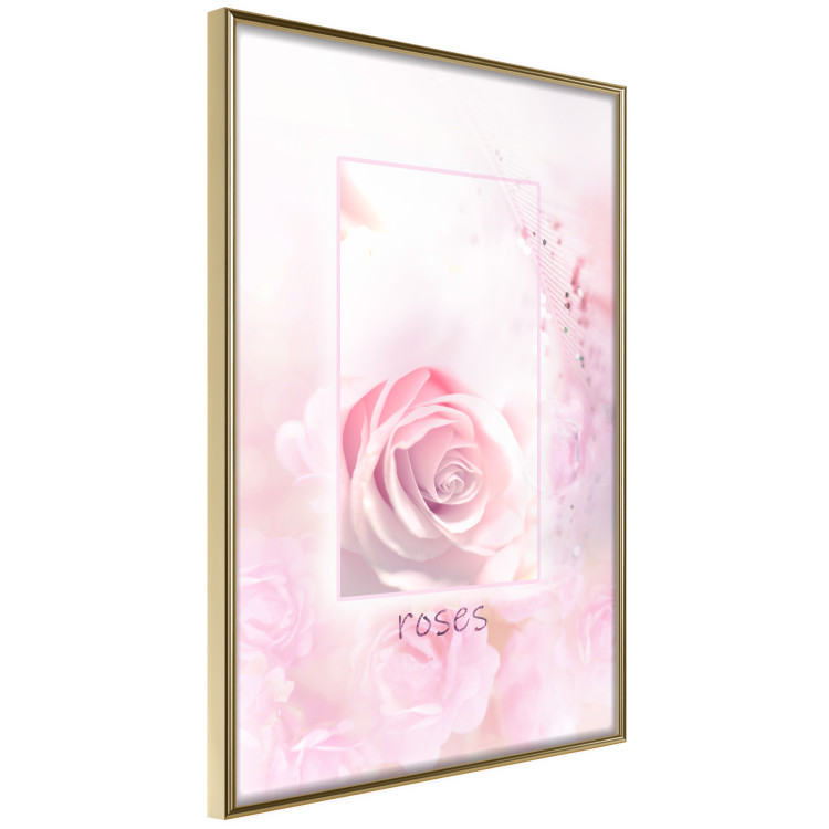 Wall Poster World of Roses - natural pink flower with English text 126211 additionalImage 3