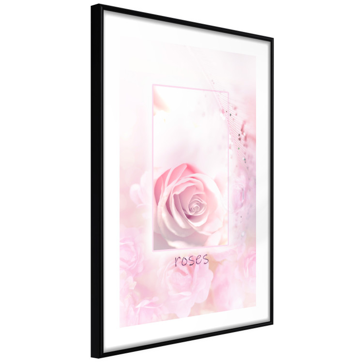 Wall Poster World of Roses - natural pink flower with English text 126211 additionalImage 2