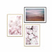 Wall gallery pictures Pink peonies 129311 additionalThumb 1