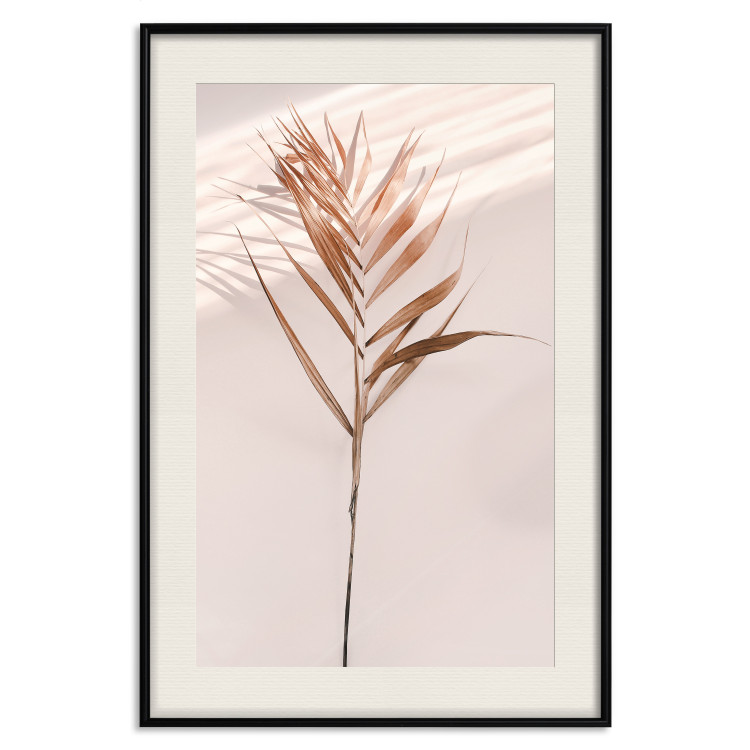 Poster Exotic Shadow - plant with brown leaves against a uniform wall 129511 additionalImage 24