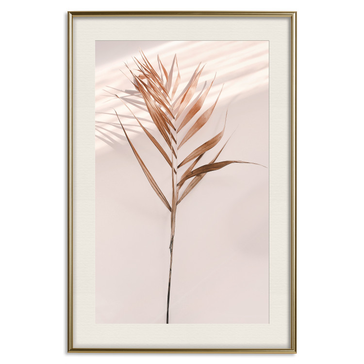 Poster Exotic Shadow - plant with brown leaves against a uniform wall 129511 additionalImage 25