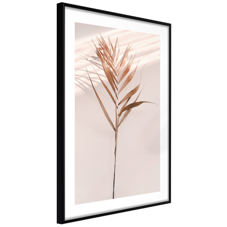 Poster Exotic Shadow - plant with brown leaves against a uniform wall 129511 additionalImage 6