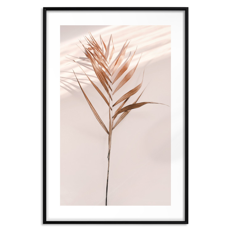 Poster Exotic Shadow - plant with brown leaves against a uniform wall 129511 additionalImage 27