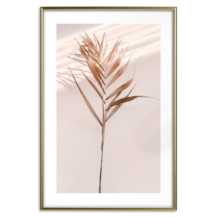 Poster Exotic Shadow - plant with brown leaves against a uniform wall 129511 additionalImage 19