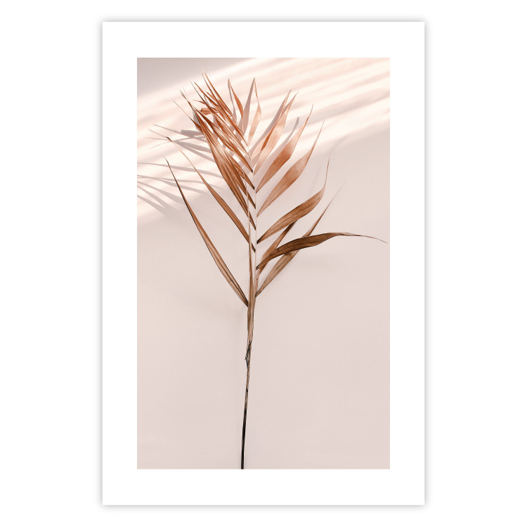 Poster Exotic Shadow - plant with brown leaves against a uniform wall 129511 additionalImage 15