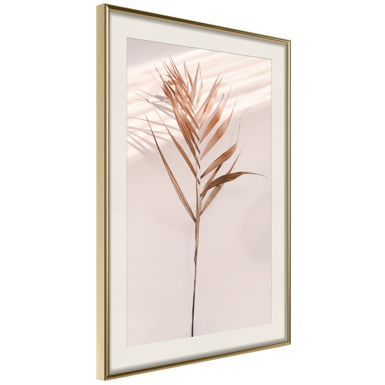 Poster Exotic Shadow - plant with brown leaves against a uniform wall 129511 additionalImage 3