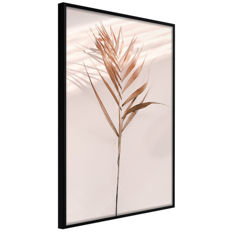 Poster Exotic Shadow - plant with brown leaves against a uniform wall 129511 additionalImage 13