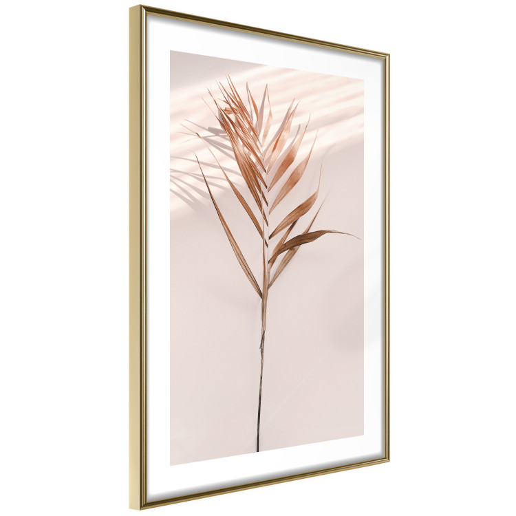 Poster Exotic Shadow - plant with brown leaves against a uniform wall 129511 additionalImage 9