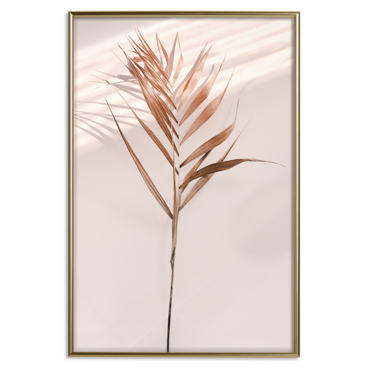 Poster Exotic Shadow - plant with brown leaves against a uniform wall 129511 additionalImage 19