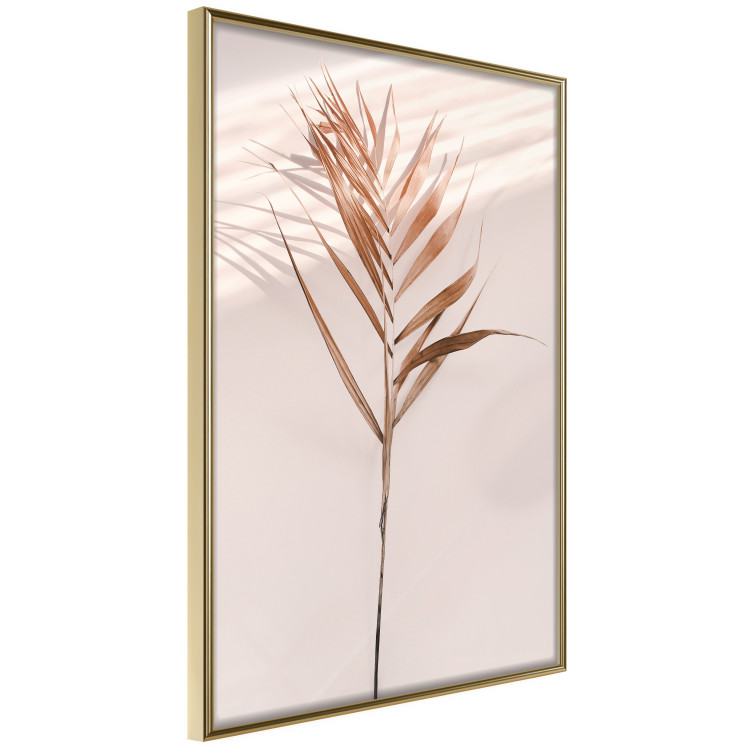 Poster Exotic Shadow - plant with brown leaves against a uniform wall 129511 additionalImage 12