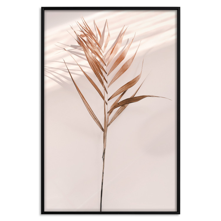 Poster Exotic Shadow - plant with brown leaves against a uniform wall 129511 additionalImage 17