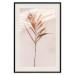 Poster Exotic Shadow - plant with brown leaves against a uniform wall 129511 additionalThumb 24