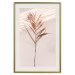 Poster Exotic Shadow - plant with brown leaves against a uniform wall 129511 additionalThumb 25