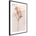 Poster Exotic Shadow - plant with brown leaves against a uniform wall 129511 additionalThumb 6