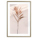 Poster Exotic Shadow - plant with brown leaves against a uniform wall 129511 additionalThumb 26