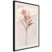 Poster Exotic Shadow - plant with brown leaves against a uniform wall 129511 additionalThumb 2