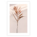 Poster Exotic Shadow - plant with brown leaves against a uniform wall 129511 additionalThumb 15