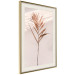 Poster Exotic Shadow - plant with brown leaves against a uniform wall 129511 additionalThumb 3