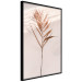 Poster Exotic Shadow - plant with brown leaves against a uniform wall 129511 additionalThumb 13