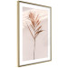 Poster Exotic Shadow - plant with brown leaves against a uniform wall 129511 additionalThumb 9