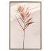 Poster Exotic Shadow - plant with brown leaves against a uniform wall 129511 additionalThumb 19