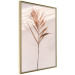 Poster Exotic Shadow - plant with brown leaves against a uniform wall 129511 additionalThumb 12