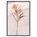 Poster Exotic Shadow - plant with brown leaves against a uniform wall 129511 additionalThumb 17