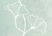 Poster Minty Ginkgo - white line art of a plant with flowers on a mint background 130811 additionalThumb 10