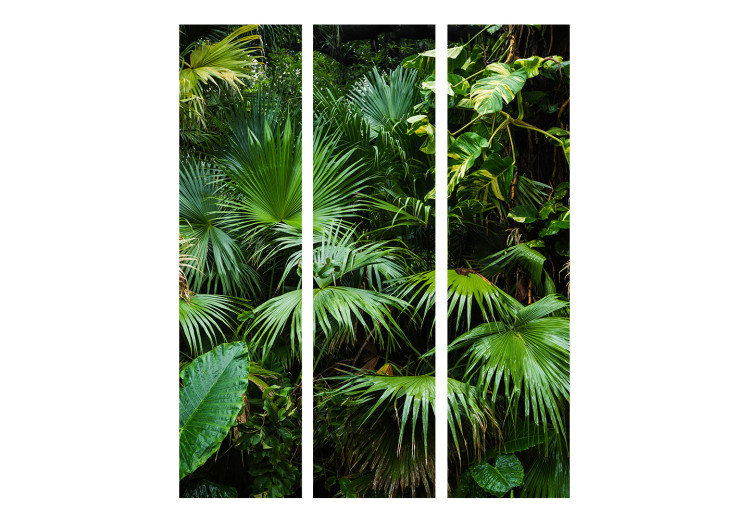Room Divider Sunny Jungle (3-piece) - green leaves of tropical plants 134311 additionalImage 3