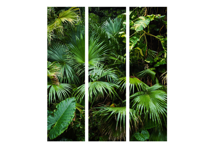 Room Divider Sunny Jungle (3-piece) - green leaves of tropical plants 134311 additionalImage 7