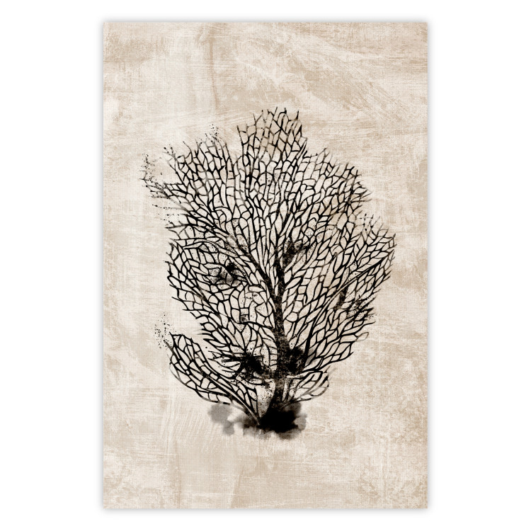 Wall Poster Sea Fan - dark plant composition on a beige textured background 134511