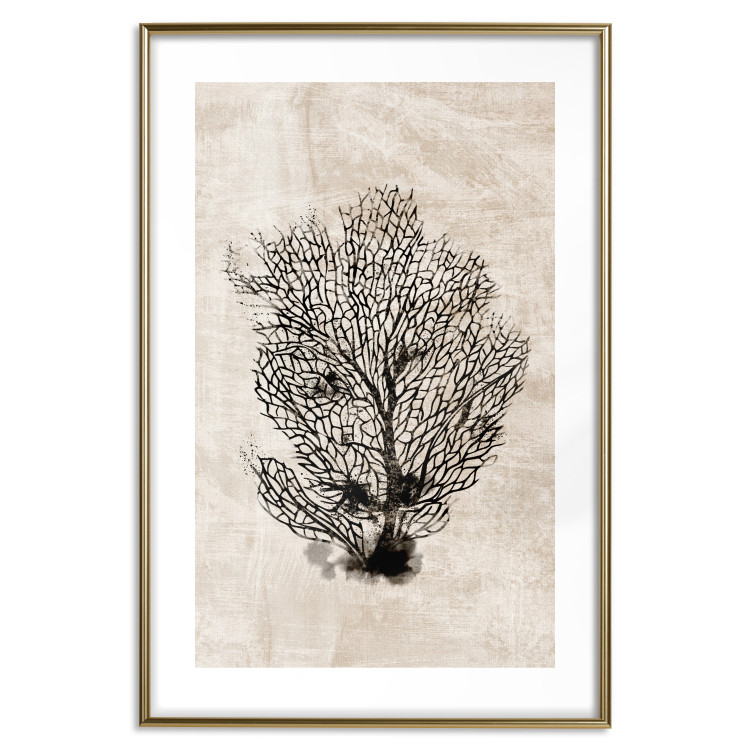 Wall Poster Sea Fan - dark plant composition on a beige textured background 134511 additionalImage 14