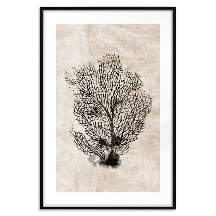 Wall Poster Sea Fan - dark plant composition on a beige textured background 134511 additionalImage 15