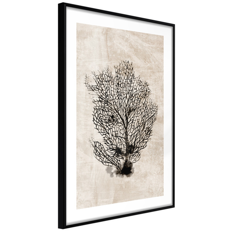 Wall Poster Sea Fan - dark plant composition on a beige textured background 134511 additionalImage 8